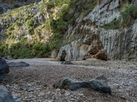 Natural Landscape in Majorca, Spain