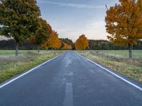 a road with trees lining both sides on both sides, and yellow leaves all over the country