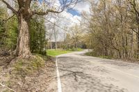 Nature's Day in Canada, Ontario: A Path Through the Wilderness