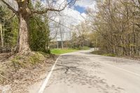 Nature's Day in Canada, Ontario: A Path Through the Wilderness