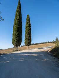 Nature's Day: Clear Sky in Europe