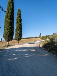 Nature's Day: Clear Sky in Europe