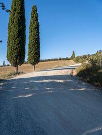 Nature's Day: Clear Sky in Europe