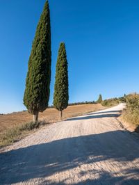 Nature's Day: Clear Sky in Europe