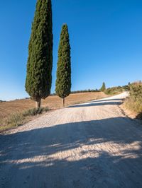 Nature's Day: Clear Sky in Europe