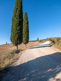 Nature's Day: Clear Sky in Europe