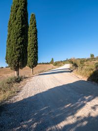 Nature's Day: Clear Sky in Europe