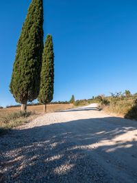 Nature's Day: Clear Sky in Europe