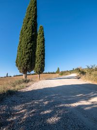 Nature's Day: Clear Sky in Europe