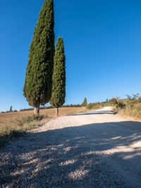 Nature's Day: Clear Sky in Europe