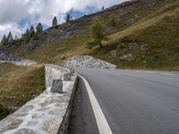 Nature's Beauty: A Day of Grass, Trees, and Clouds in Austrian Scenery