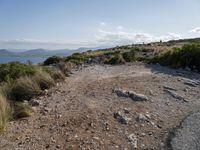 Nature at Day: Open Space by the Ocean