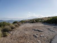 Nature at Day: Open Space by the Ocean