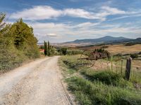 Nature Garden with Rugged Landscape and Cypress Trees