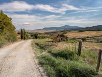 Nature Garden with Rugged Landscape and Cypress Trees