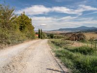 Nature Garden with Rugged Landscape and Cypress Trees