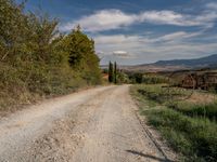 Nature Garden with Rugged Landscape and Cypress Trees