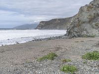 a man stands on the shore and looks out to sea with a small purple umbrella