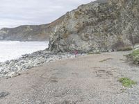 a man stands on the shore and looks out to sea with a small purple umbrella