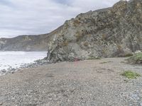 a man stands on the shore and looks out to sea with a small purple umbrella