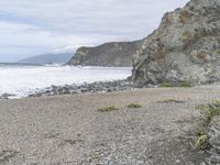 a man stands on the shore and looks out to sea with a small purple umbrella