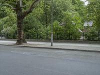 Nature and Infrastructure: Road in Berlin