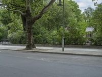 Nature and Infrastructure: Road in Berlin