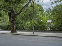 Nature and Infrastructure: Road in Berlin