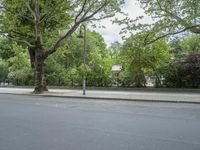 Nature and Infrastructure: Road in Berlin