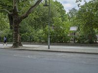 Nature and Infrastructure: Road in Berlin