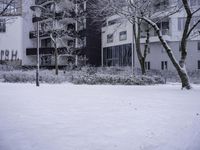 Nature Landscape: Building and Window in the Neighborhood