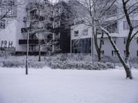 Nature Landscape: Building and Window in the Neighborhood