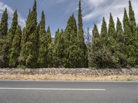 Nature Landscape: A Day with Clear Skies in Mallorca