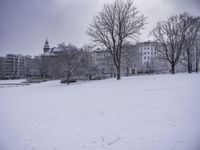 Nature Landscape in Grey