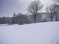 Nature Landscape in Grey