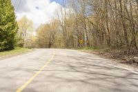 Nature Landscape with Lush Vegetation in Ontario, Canada