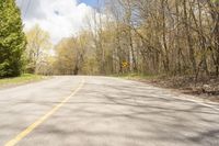 Nature Landscape with Lush Vegetation in Ontario, Canada