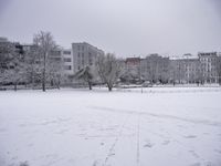 Nature Landscape with Tree Branch