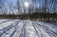 Nature's Off Road Track: Discovering Canada and Ontario's Wilderness