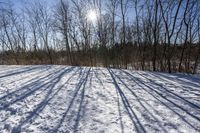 Nature's Off Road Track: Discovering Canada and Ontario's Wilderness