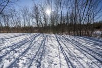 Nature's Off Road Track: Discovering Canada and Ontario's Wilderness