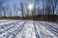 Nature's Off Road Track: Discovering Canada and Ontario's Wilderness