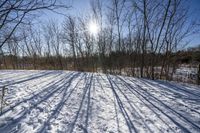 Nature's Off Road Track: Discovering Canada and Ontario's Wilderness