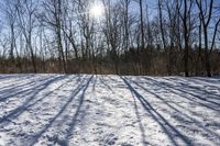 Nature's Off Road Track: Discovering Canada and Ontario's Wilderness