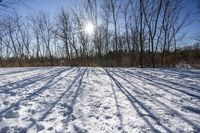 Nature's Off Road Track: Discovering Canada and Ontario's Wilderness