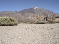 a mountain with mountains in the distance and bushes on the right side of it with small shrubs around it