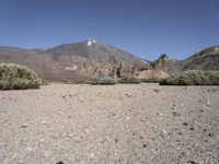a mountain with mountains in the distance and bushes on the right side of it with small shrubs around it