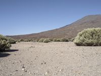 a mountain with mountains in the distance and bushes on the right side of it with small shrubs around it