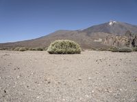 a mountain with mountains in the distance and bushes on the right side of it with small shrubs around it