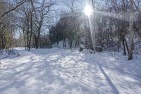 Nature Off Road: Snow-Covered Trails and Trees